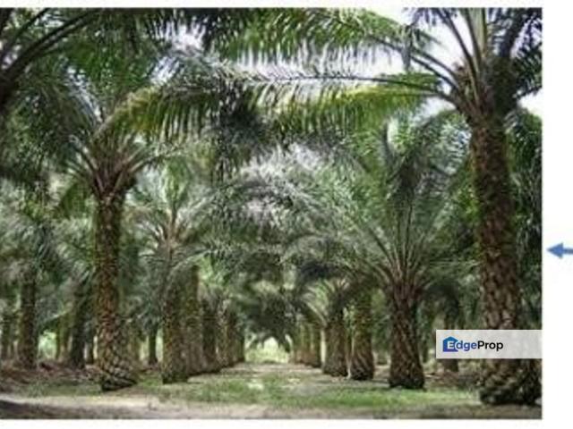 Shop for sale in Mersing, Johor