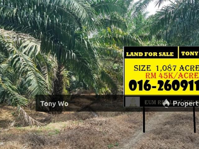 Property for sale in Mersing, Johor