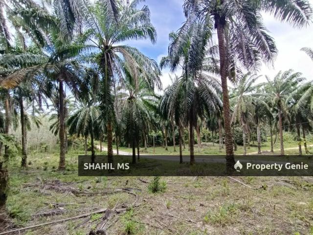 Property for sale in Johor