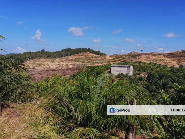 Shop for sale in Mersing Kanan, Mersing