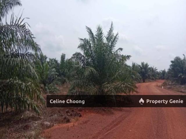 Property for sale in Mersing, Johor