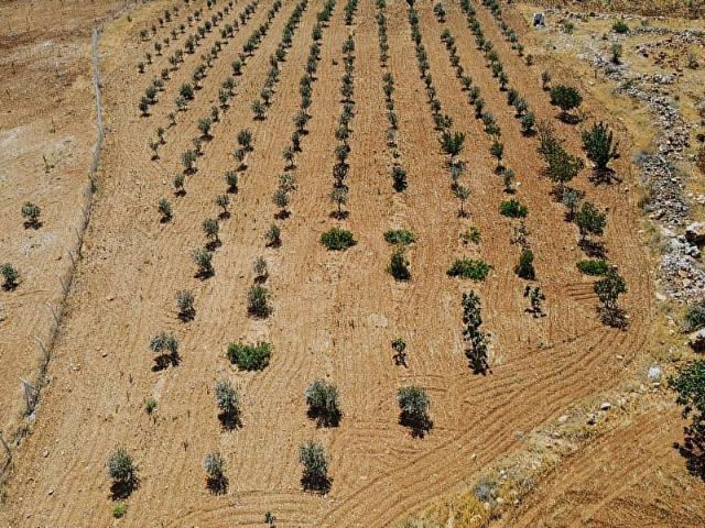 Şahinbey, Gaziantep içerisinde satılık Arsa