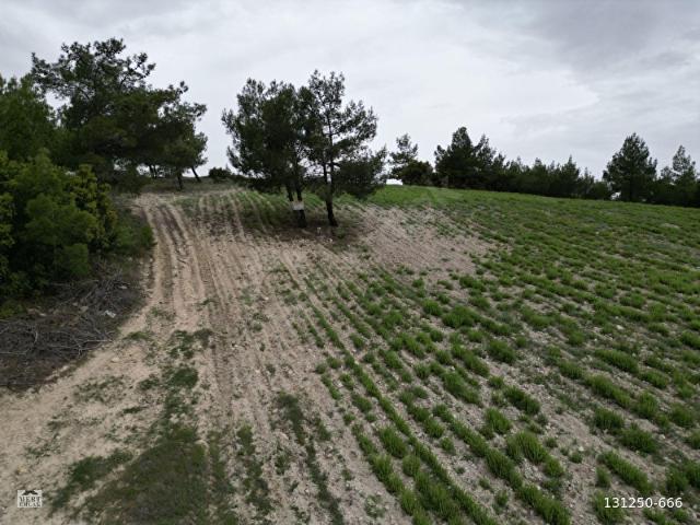 Güney, Denizli içerisinde satılık Arsa