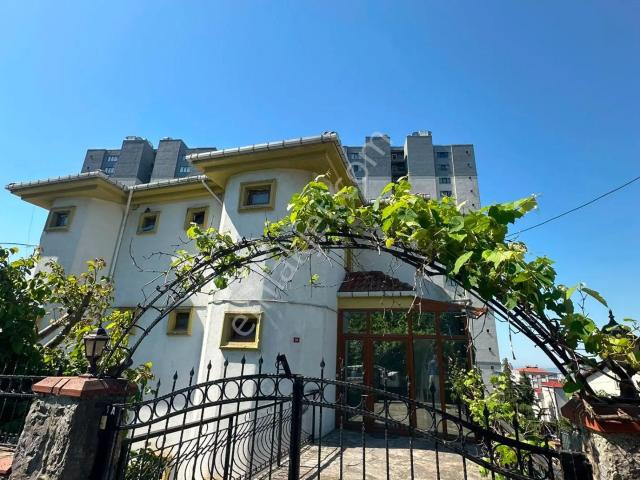 Kartal, İstanbul içerisinde kiralık Villa