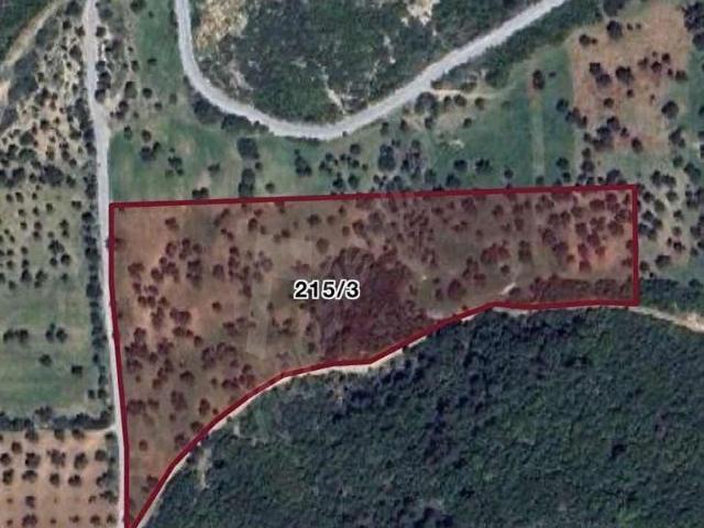 Özbek Mahallesi, Urla içerisinde satılık Arsa