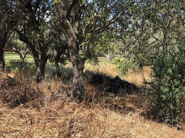 Burhaniye, Balikesir içerisinde satılık mülk