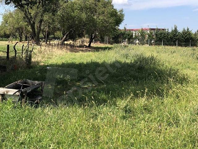 Burhaniye, Balikesir içerisinde satılık Arsa