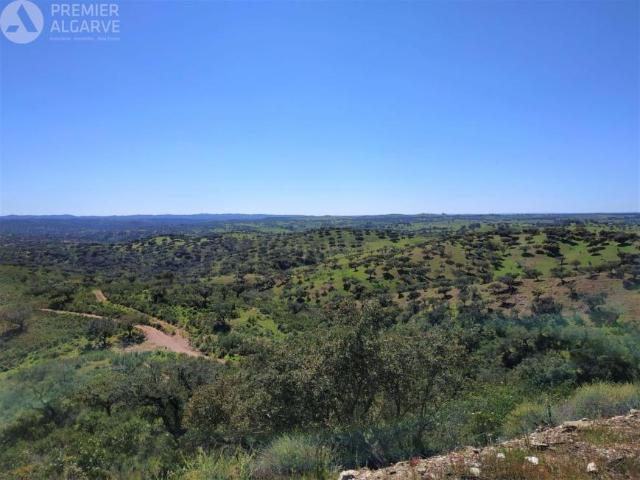 Terreno venda em Beja