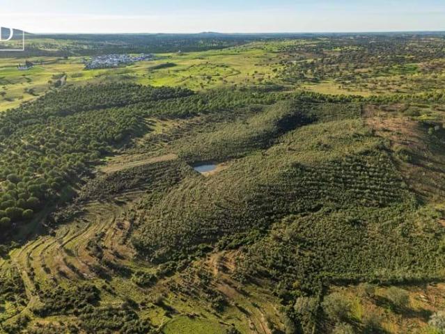 Terreno venda em Beja