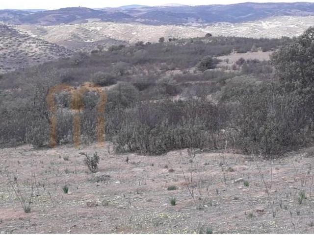 Terreno venda em Beja