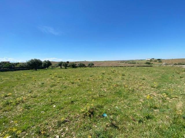 Terreno venda em Beja