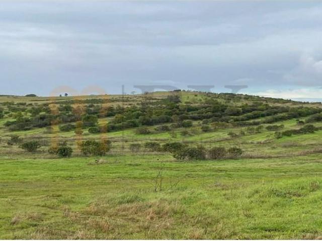 Terreno venda em Beja