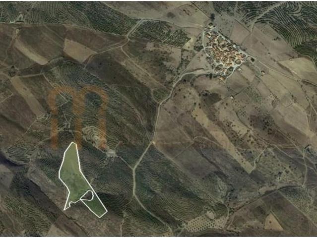 Terreno venda em Beja