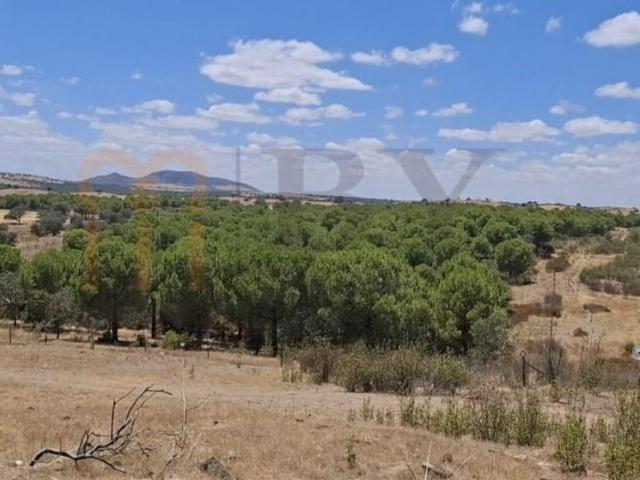 Terreno venda em Beja