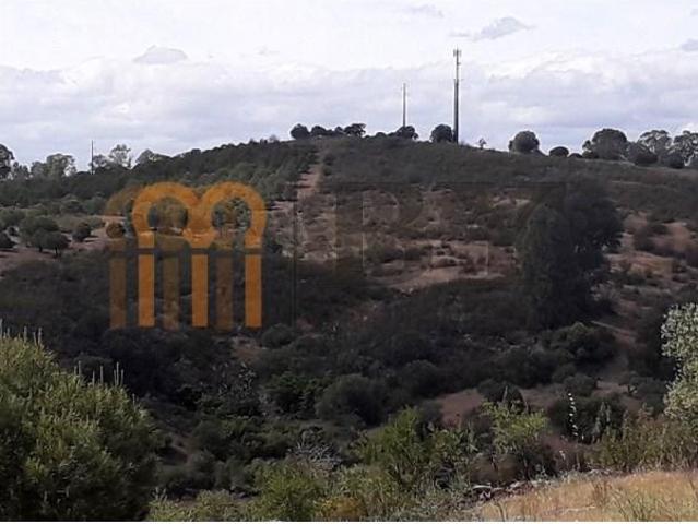 Terreno venda em Beja