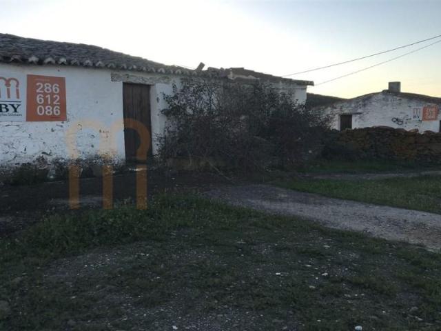 Terreno venda em Beja