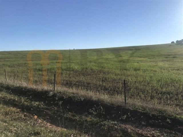 Terreno venda em Beja