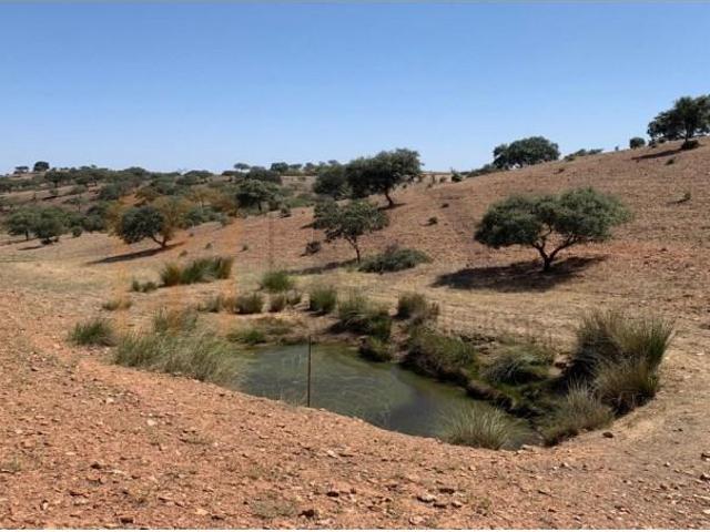 Terreno venda em Beja