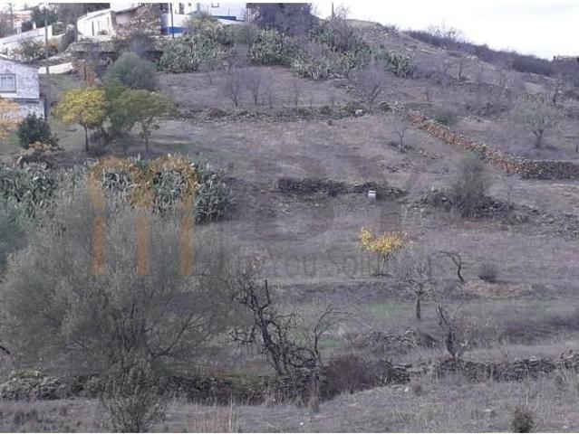 Terreno venda em Beja