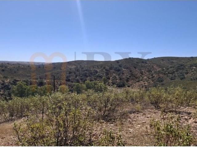Terreno venda em Beja