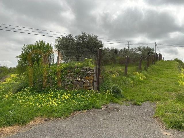 Terreno venda em Beja