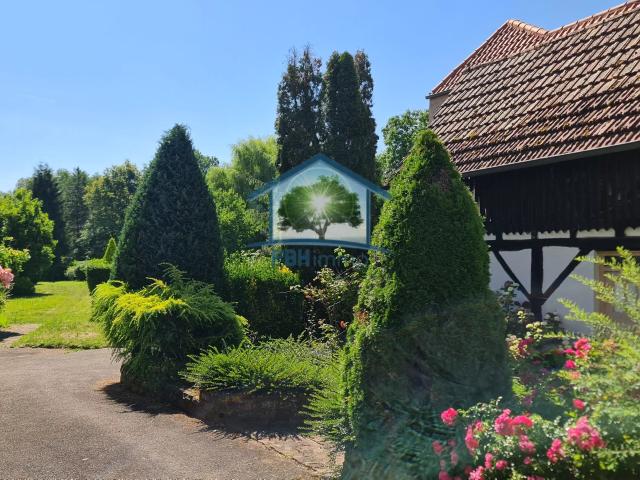 Maison vente à Haguenau-Wissembourg, Mertzwiller