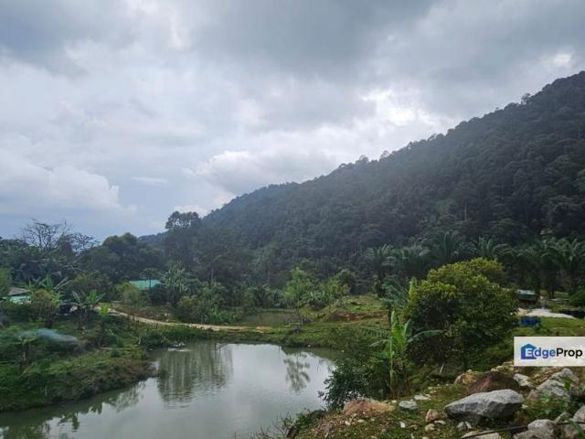 Shop for sale in Perak, Tanjong Ipoh