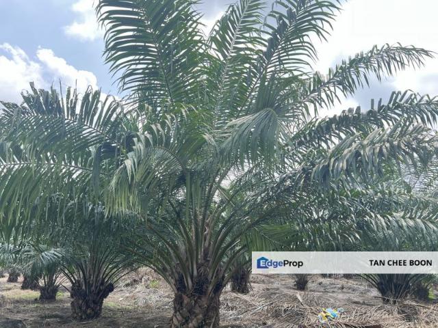 Warehouse for sale in Port Klang, Selangor
