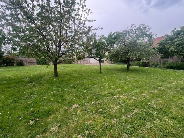 Terrain vente à Thann-Guebwiller, Merxheim