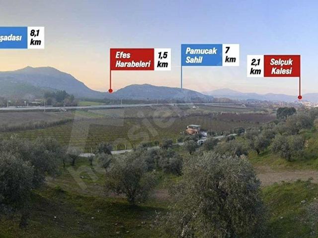 Selçuk, İzmir içerisinde satılık mülk