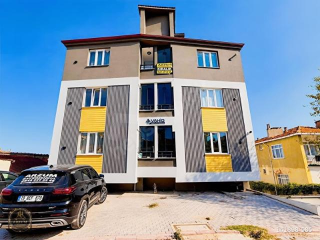 Hacıbalı, Merzifon içerisinde satılık mülk