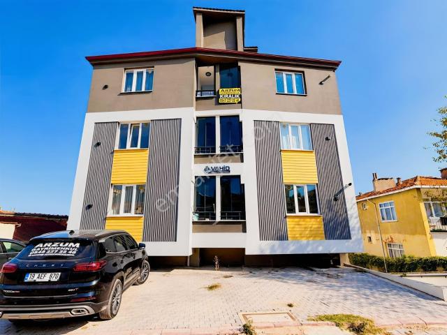 Hacıbalı, Merzifon içerisinde kiralık mülk