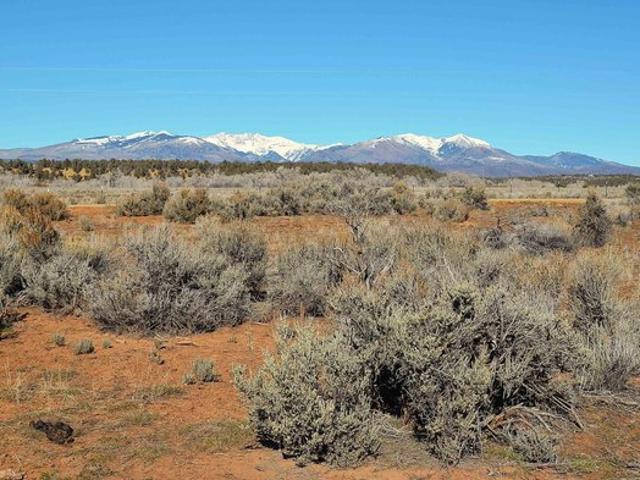Land for sale in La Plata, Colorado
