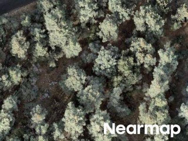 Land for sale in Frazier Park, California