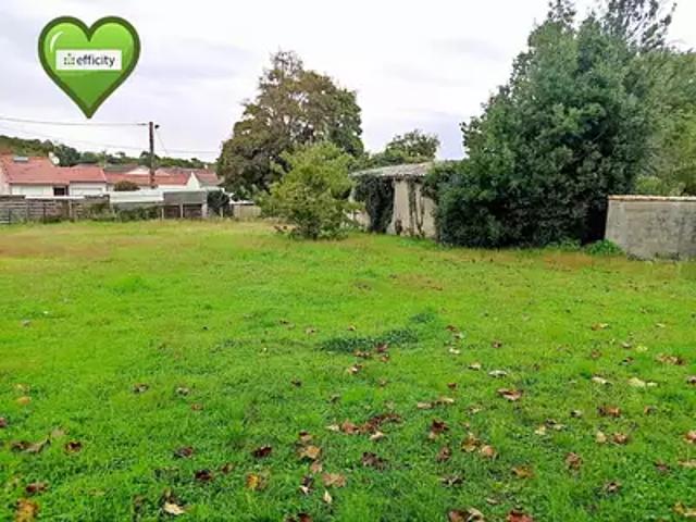Terrain vente à Meschers-sur-gironde, Diou