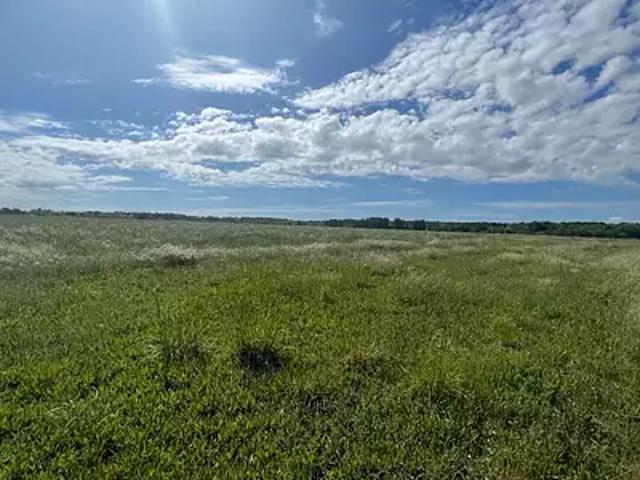 Terrain vente à Rochefort, Meschers-sur-gironde
