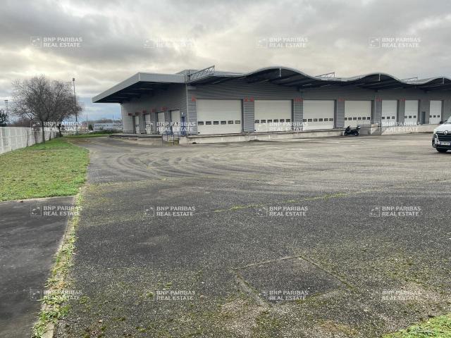 Local Commercial vente à Souffelweyersheim, Collectivité européenne d'Alsace