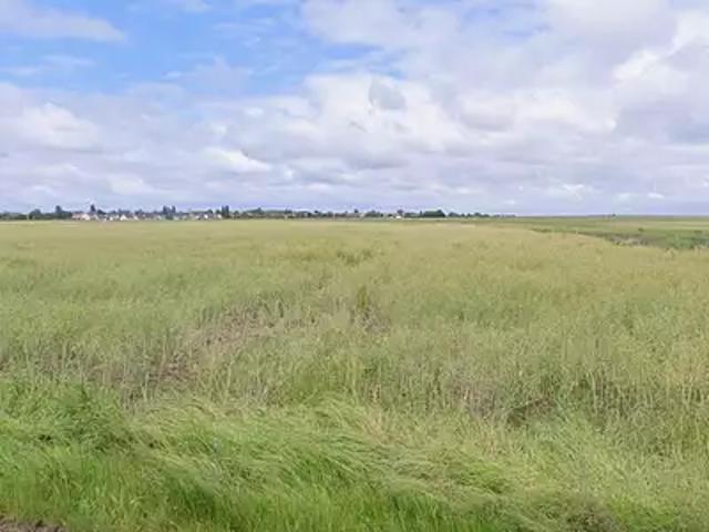 Terrain vente à Orléans, Messas