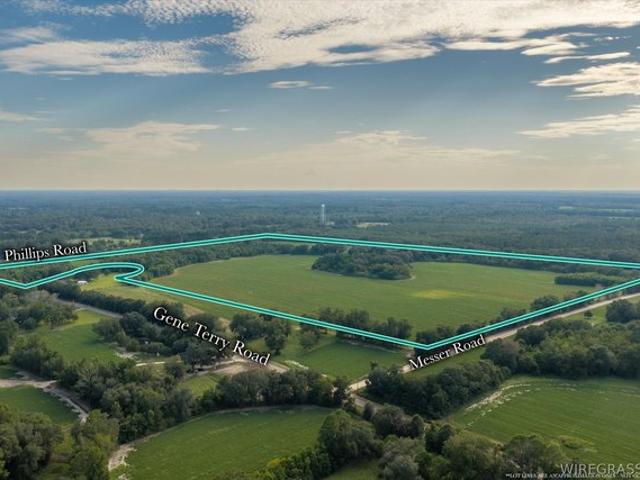 Land for sale in Cottonwood, Alabama