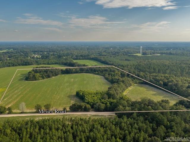 Land for sale in Cottonwood, Alabama