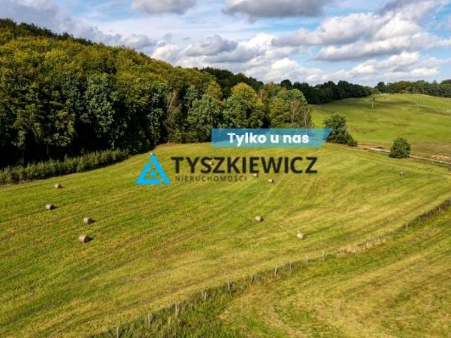 Grunt na sprzedaż w Trzepowo, Pomorskie