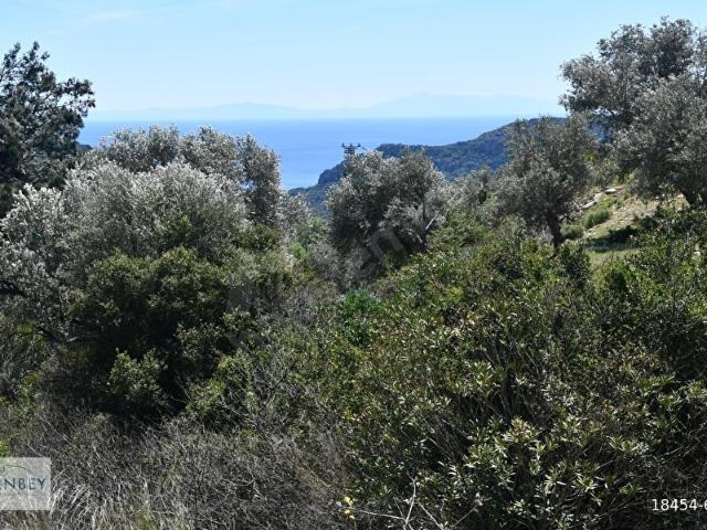 Datça, Muğla içerisinde satılık Arsa