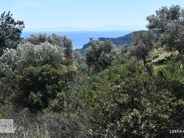 Datça, Muğla içerisinde satılık Arsa