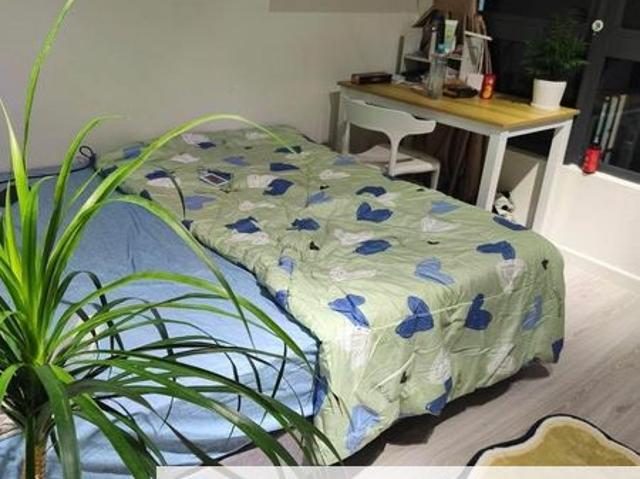 Condominium for rent in Petaling, Subang Jaya