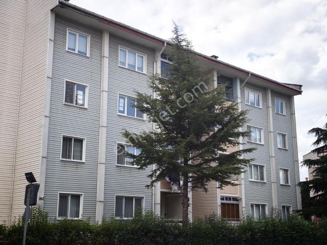 Düzce Merkez, Düzce içerisinde kiralık mülk