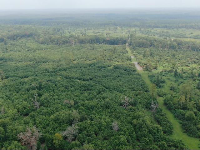 Land for sale in Ark