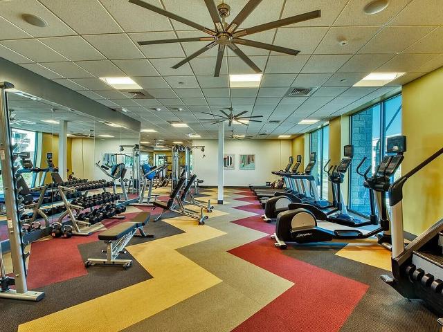 Apartment for rent in Tempe, Arizona