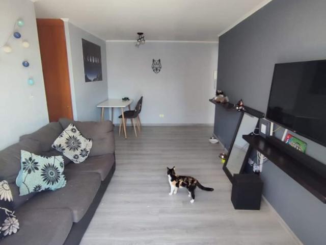 METRO PROTECTORA DE LA INFANCIA