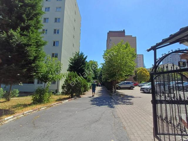 Mevlana Mahallesi, Esenyurt içerisinde kiralık mülk