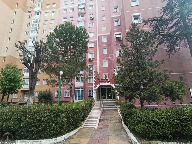 Beylikdüzü, İstanbul içerisinde kiralık mülk
